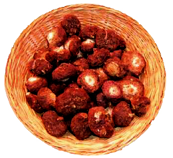 Schwarse Maca: Gute In-Fruchtbarkeit, Stress 